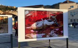 Foto: Radiosarajevo.ba / Otvorena izložba "Muha u avionu"