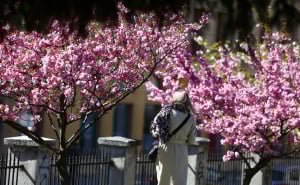 Foto: Dž.K. / Radiosarajevo.ba / Proljeće u Sarajevu