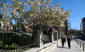 Foto: Dž.K. / Radiosarajevo.ba / Proljeće u Sarajevu