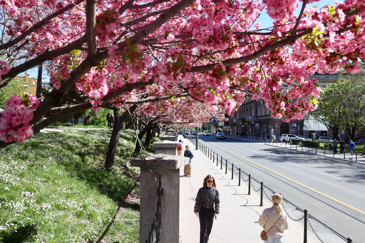 Proljeće u Sarajevu