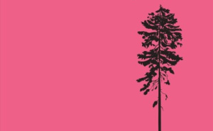 Foto: Privatni album / Semezdin Mehmedinović: "Kuća za pisanje"