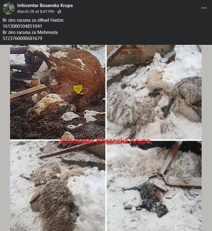 Objava na društvenim mrežama