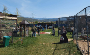 Foto: Radiosarajevo.ba / U posjeti ZOO Bambi u Hrasnici kod Sarajeva