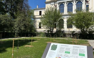 Foto: D. B. / Radiosarajevo.ba / Koncert "Sevdah u vrtu"