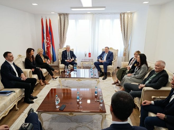 Sastanak HDZ-a i SNSD-a