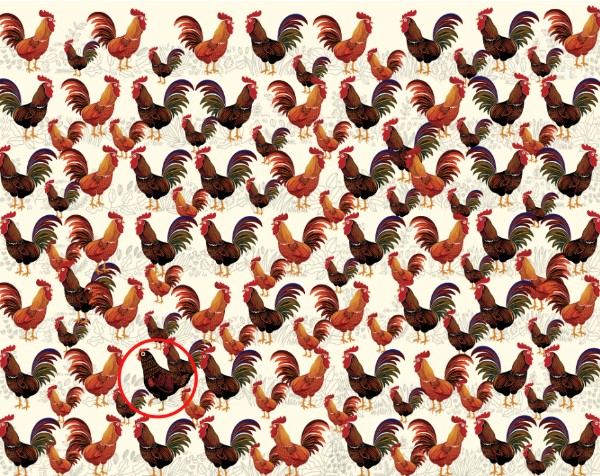 Mozgalica / Rješenje