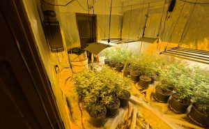 Foto: MUP KS / Akcija Aries