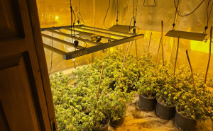 Foto: MUP KS / Akcija Aries