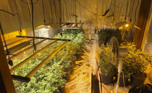 Foto: MUP KS / Akcija Aries