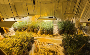 Foto: MUP KS / Akcija Aries