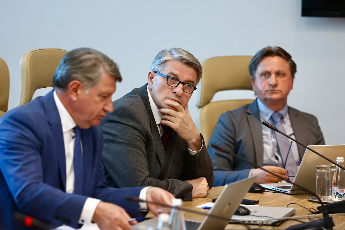 Saslušanje Džermina Pašića u PS BiH