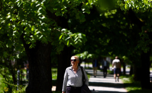 Foto: Dž. K. / Radiosarajevo.ba / Proljeće na Vilsonovom šetalištu, Sarajevo