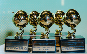 Foto: Nikola Bradonjić/BHFF NYC / Film "Što te nema"