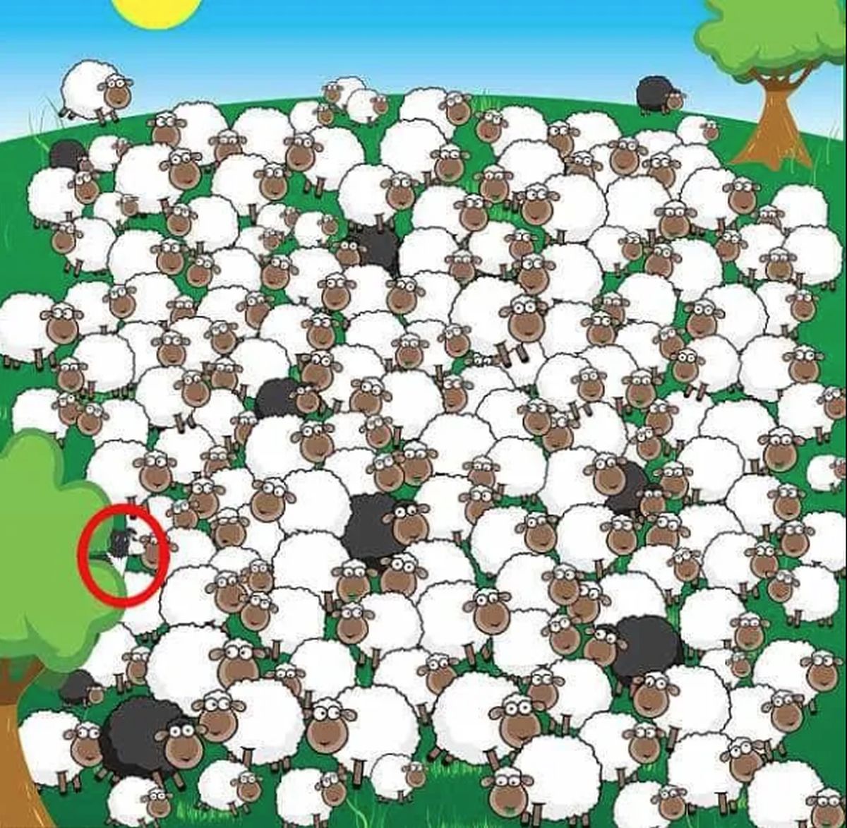 Rješenje mozgalice