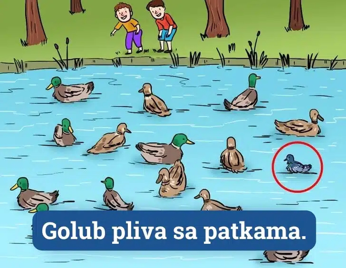 Rješenje mozgalice