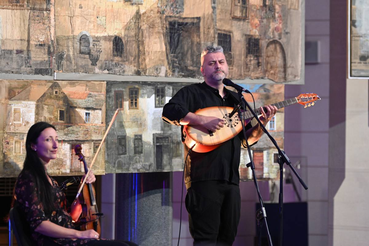 Koncert Damir Imamović