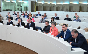 Foto: N.G / Radiosarajevo / Konferencija