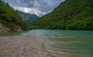 Foto: Boris Trogrančić / Diva Grabovica