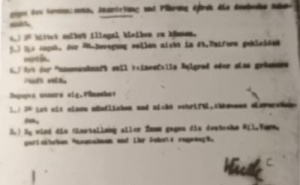 Faksimil / Pribilješke iz knjige Bore Glišića