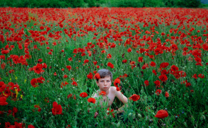 Foto: Stefan Đorđević / Svjetska i regionalna imena na petom Sarajevo Photography Festivalu