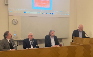 Foto: Radiosarajevo.ba / Dan bijelih traka Stockholm
