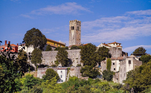 Foto: Pexels / Motovun