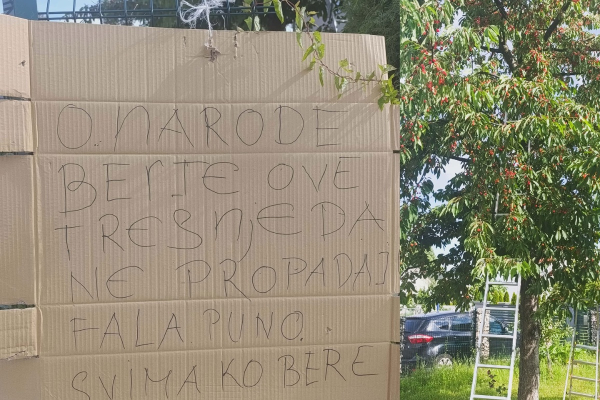 Gest iz Kalesije @kalesijaonline
