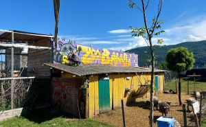 Foto: Radiosarajevo.ba / Novi mural u Zoo Bambiju
