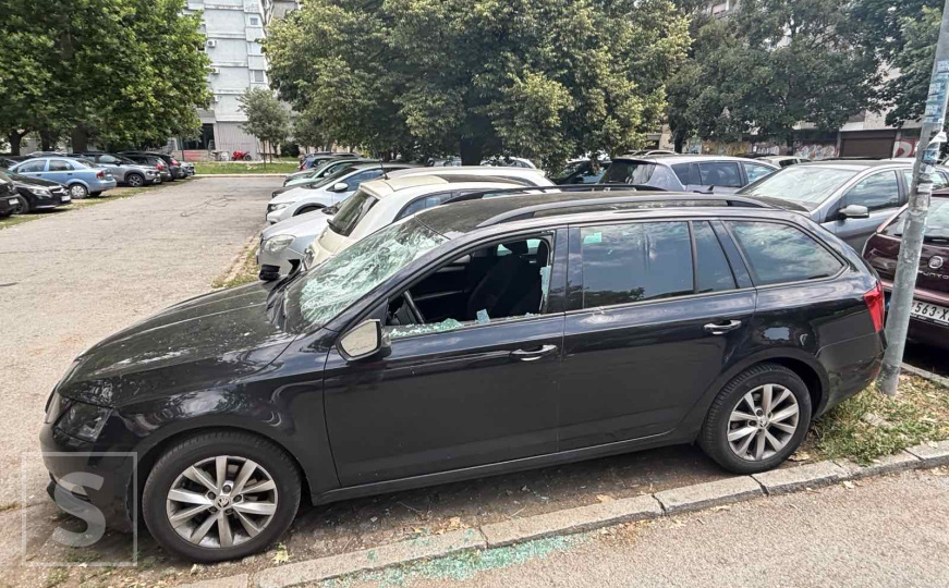 Demolirani automobil Davida Gruhonjića
