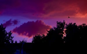 Foto: Dž.K. / Radiosarajevo.ba / Kad horizont postane paleta čudesnih boja
