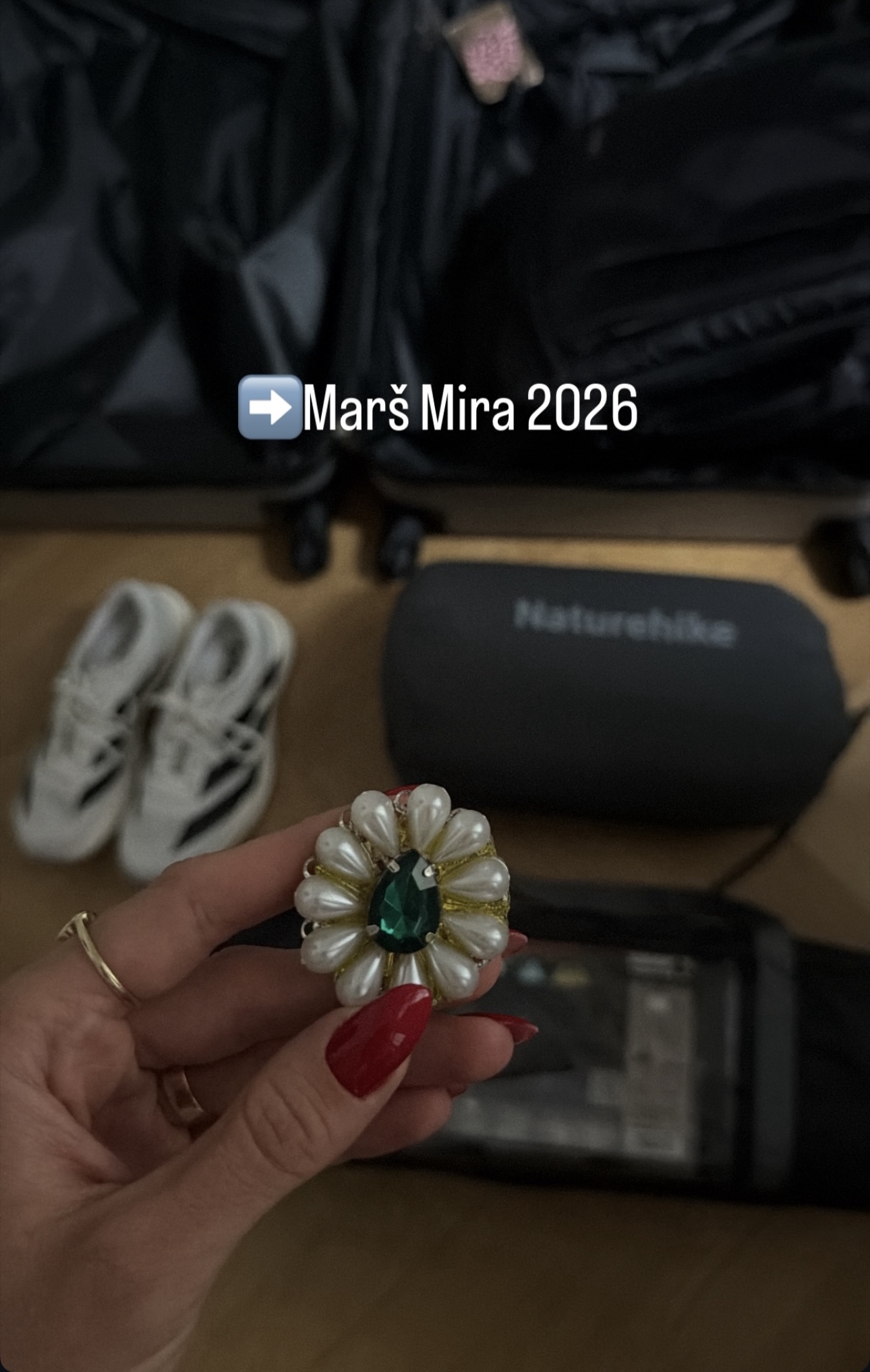 Emina se sprema za Marš mira