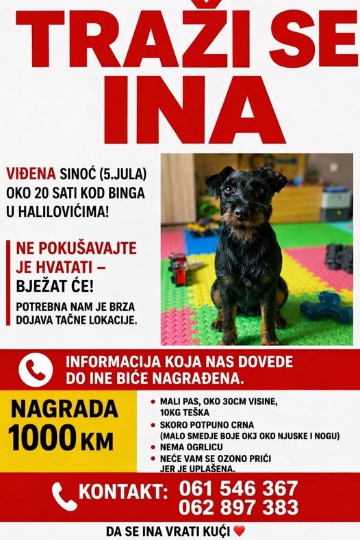 Nudi se 1.000 KM nagrade