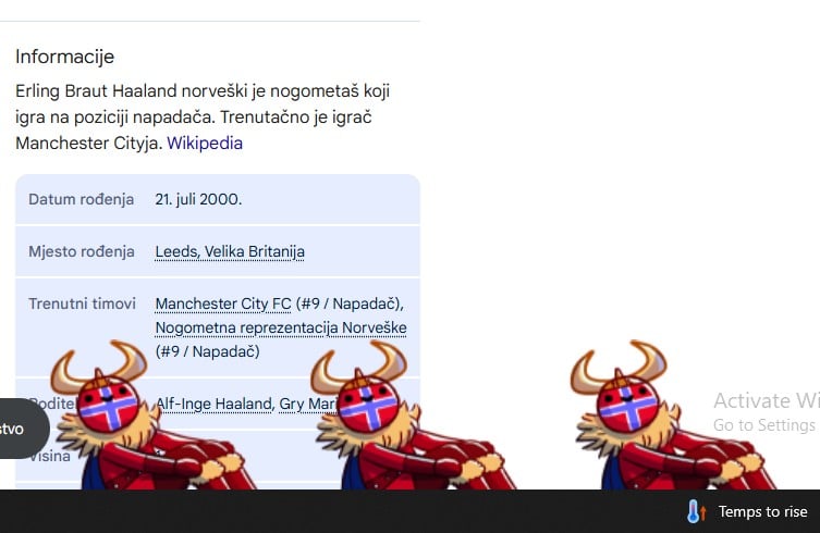 Google u znaku Vikinga