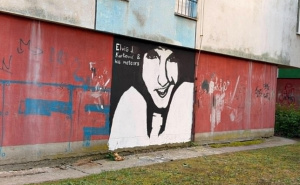 Foto: Radiosarajevo.ba / Mural Elvisu J. Kurtoviću