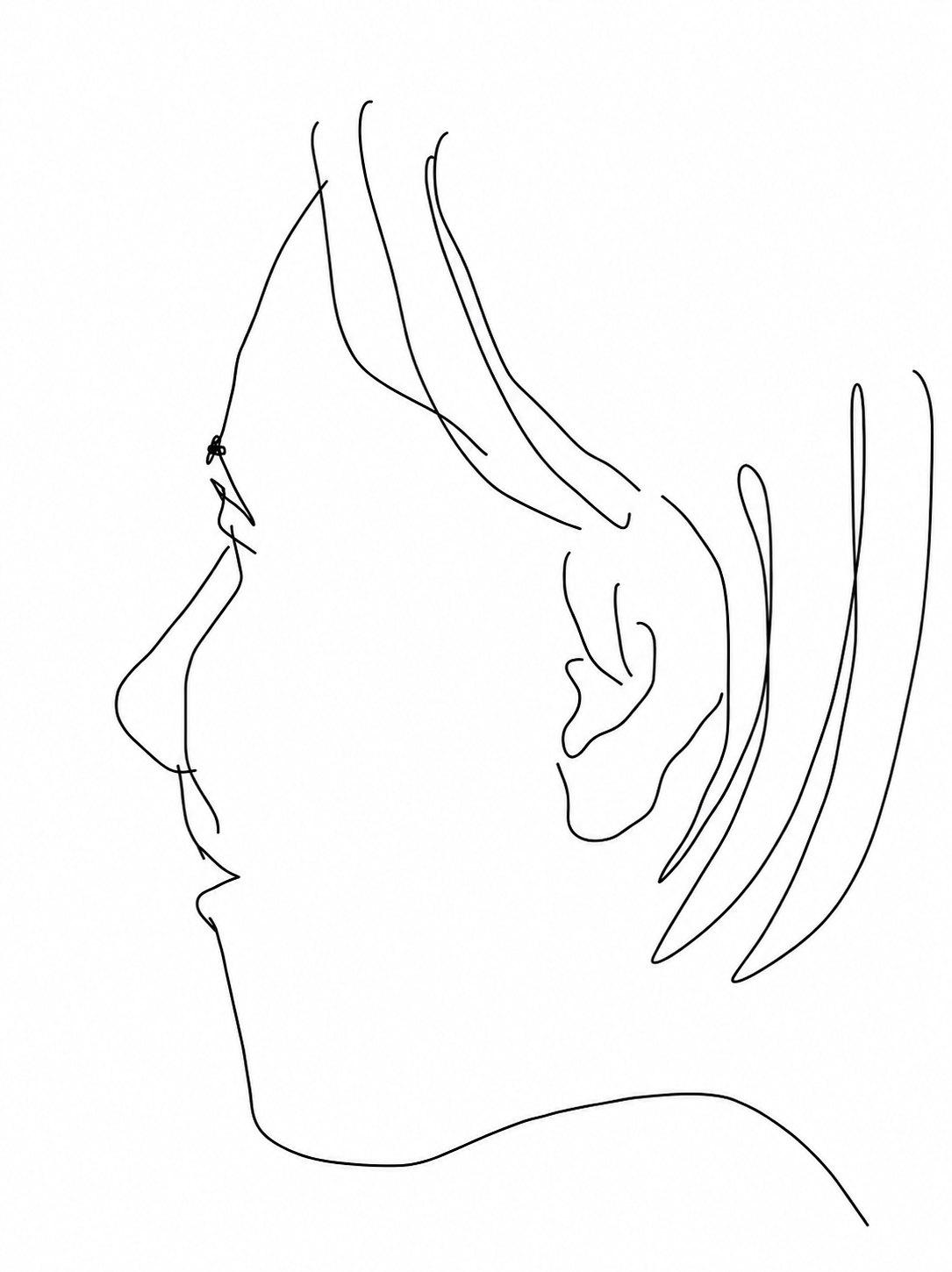 Portret Hillary nacrtan u vašingtonskom metrou, januar 2011. godine