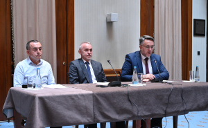 Foto: N. G. / Radiosarajevo.ba / Konferencija za medije