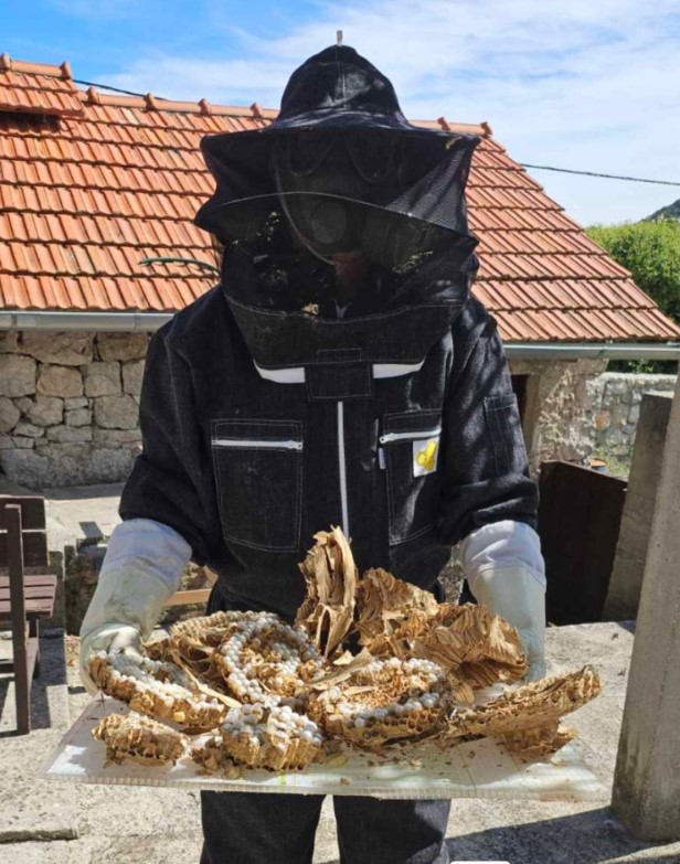 Mišo Pamučina u akciji