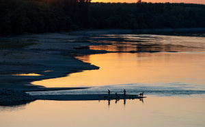 Foto: EPA / Dunav