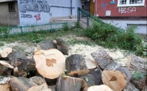 Foto: Ustupljena fotografija / Grupa naselje Park-Višnjik