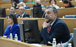 Foto: N.G./Radiosarajevo.ba / konferencije "Položaj konstitutivnih naroda i Ostalih u institucijama u BiH