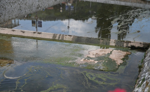 Foto: N.G./Radiosarajevo.ba / Izuzetno nizak nivo Miljacke