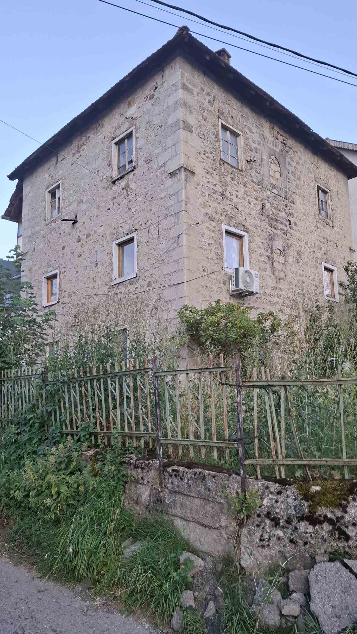 Priča o Plavu