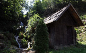 FOTO: Fena / Selo Oćevija