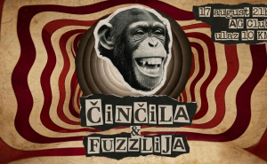 Foto: Činčila / Činčila i Fuzzlija