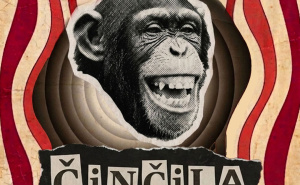 Foto: Činčila / Činčila i Fuzzlija