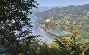 Foto: Pomozi.ba / Požar - Konjic
