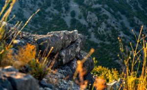 Foto: Boris Trogrančić / Daorson