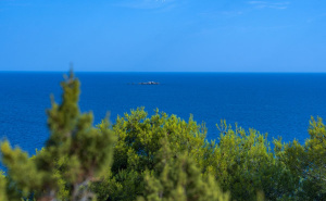 Foto: Boris Trogrančić / Mljet