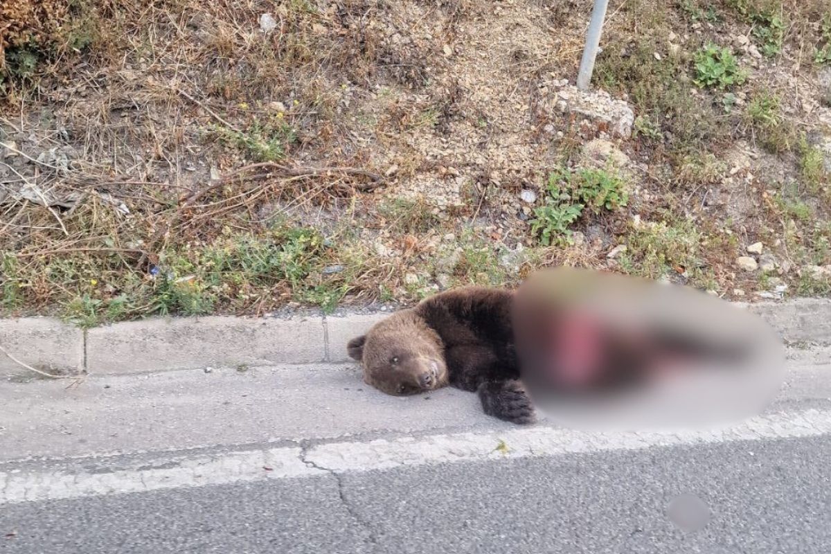 Medo nastradao u nesreći kod Travnika