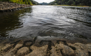 Foto: EPA - EFE / "Kamenje gladi" u Dunavu